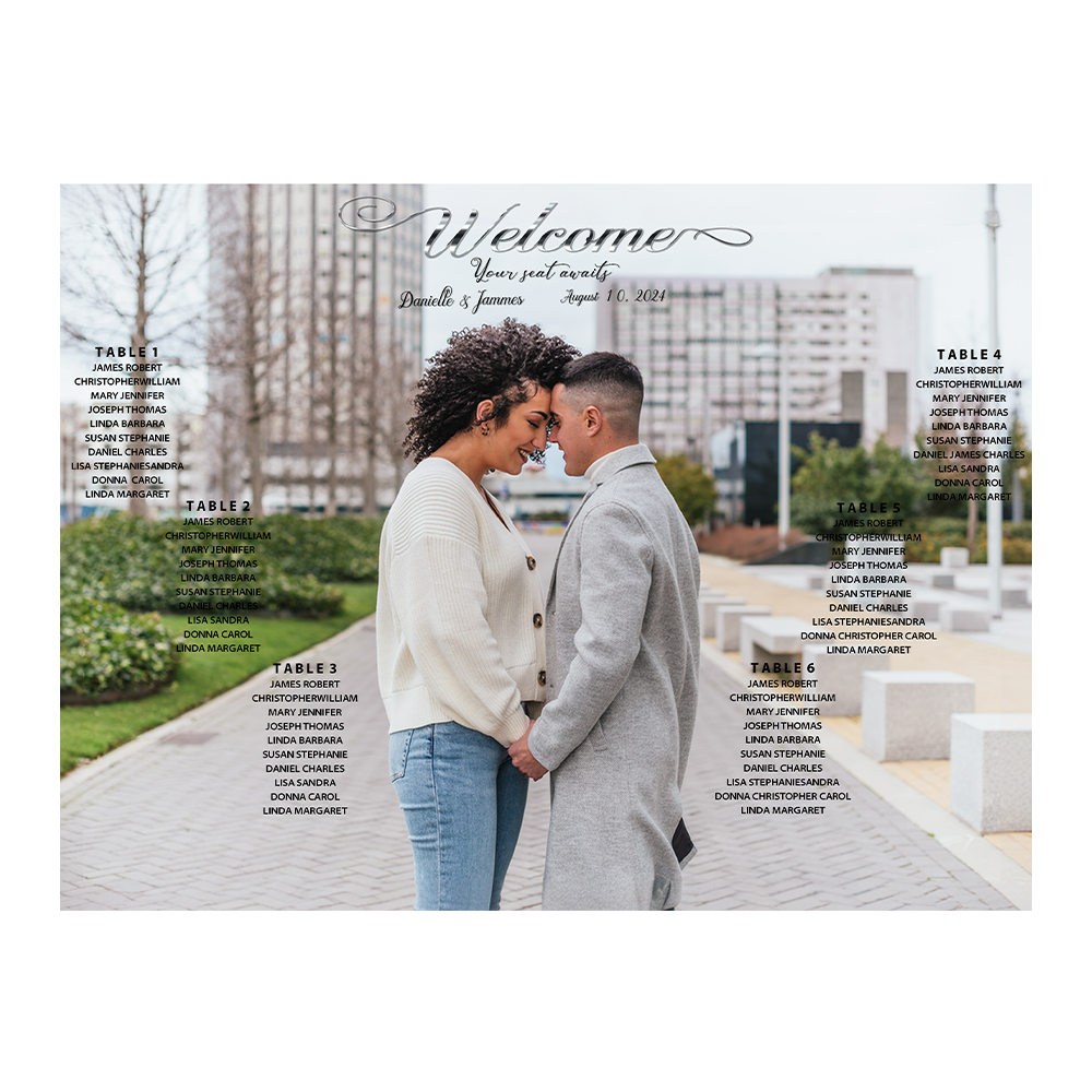 Stylish seating chart