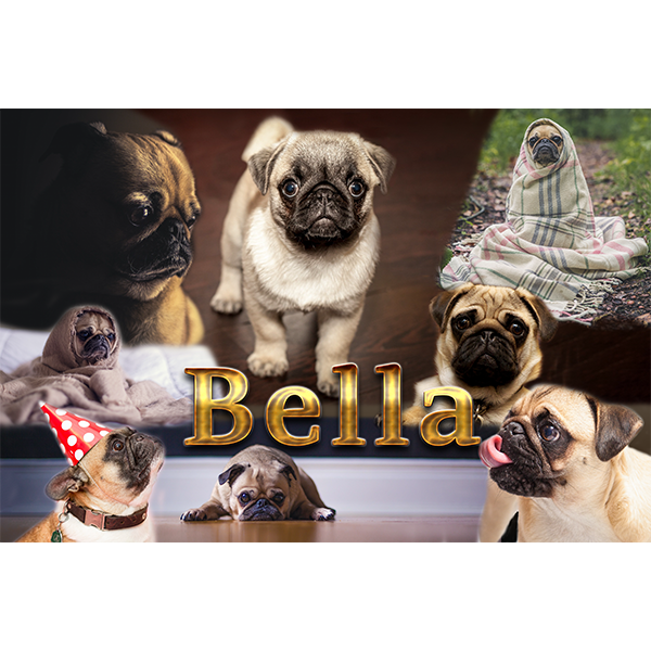 Blended Collages Bereavement