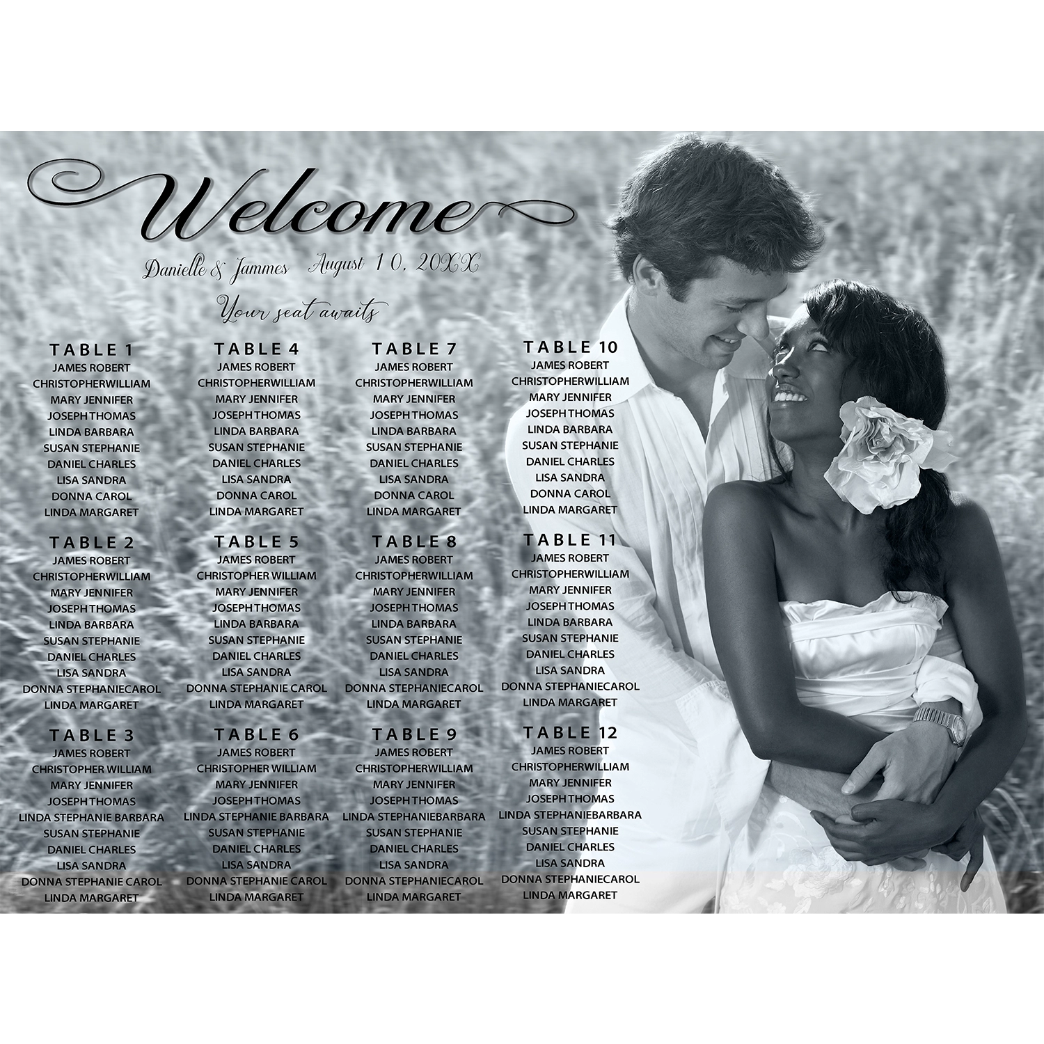 Custom Stylish seating chart