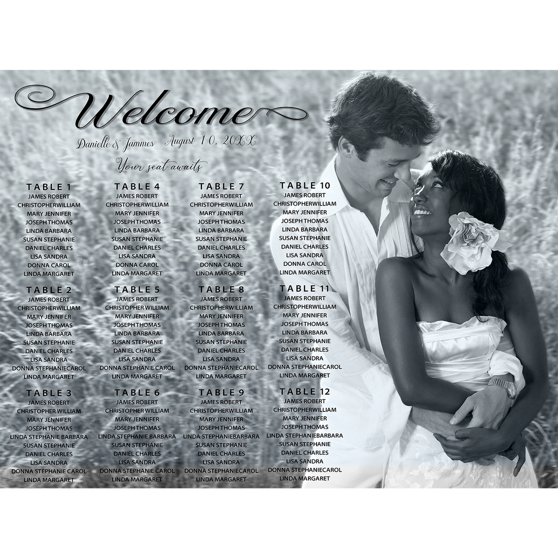 Custom Stylish seating chart